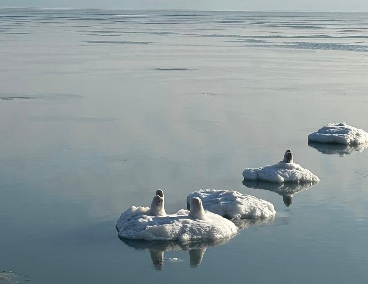 Ice formations on Lake Michigan.