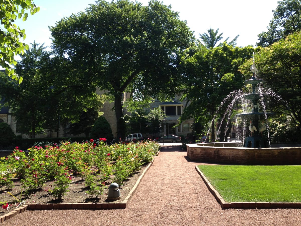 Evanston rose garden
