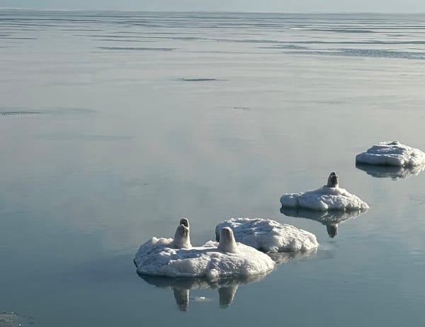 Ice formations on Lake Michigan.