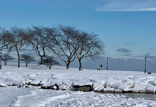 Winter on Northwestern University campus.